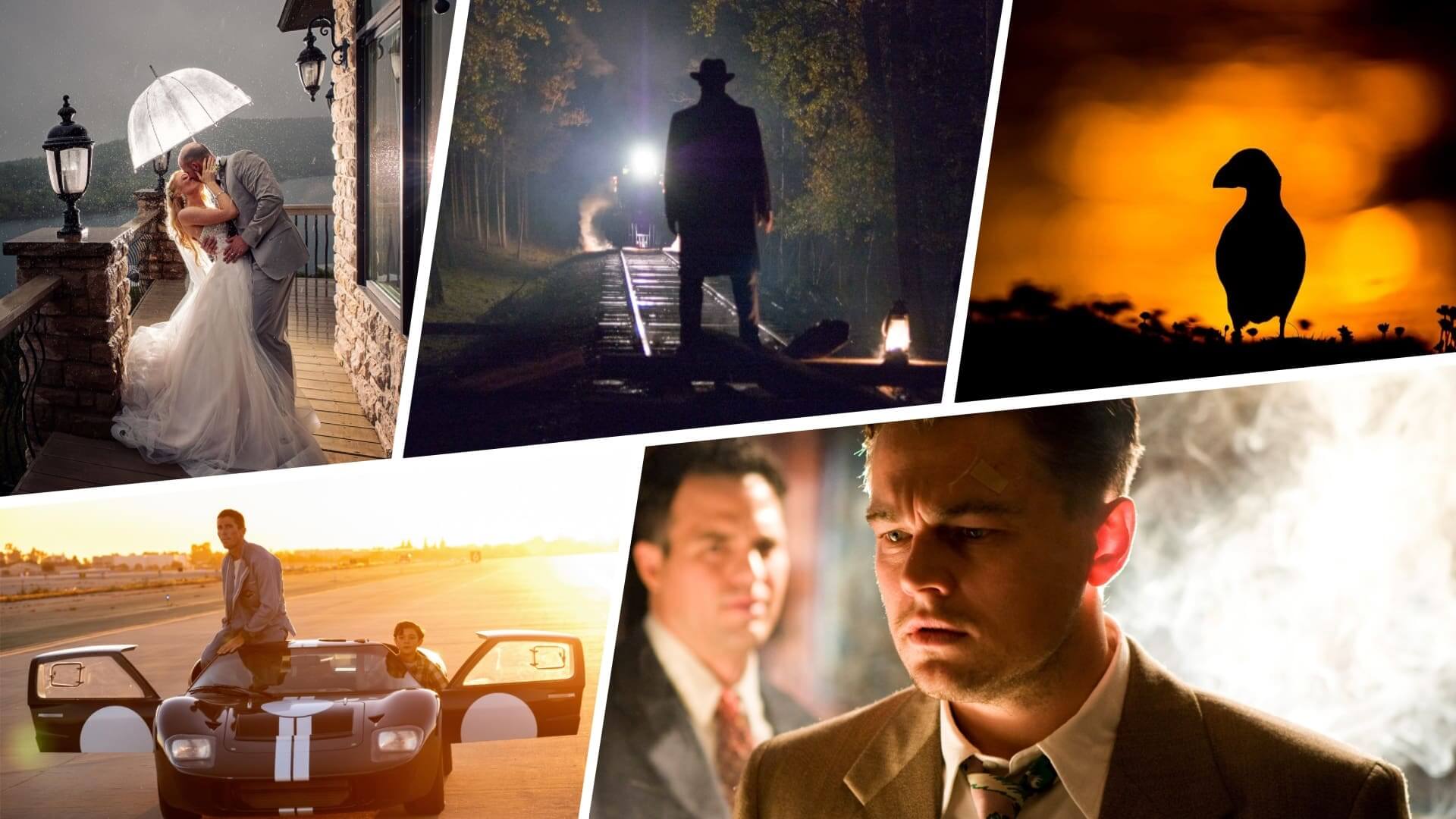 Kỹ Thuật Chiếu Sáng Ngược (Backlight): Hướng Dẫn Ứng Dụng Trong Nhiếp Ảnh Và Quay Phim