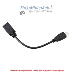 thumbnail Sync cord adapter for fujifilm RR80-RR90 - 1