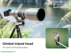 thumbnail Ballhead gimbal head dành cho chụp chim/thể thao/tốc độ cao K&F concept KF31.052 - 15