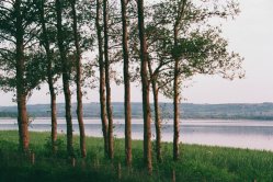 thumbnail Film Fujifilm 400 36exp indate 2027 (phiên bản mới của X-Tra 400) - 3