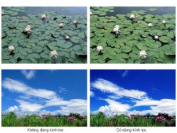 thumbnail Filter Marumi Protect MC Fit Slim chính hãng - 2