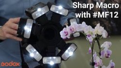 thumbnail Flash Macro godox MF12 K2 - 3