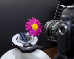 thumbnail Flash macro Yongnuo YN14EX II S for Sony - 8