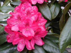 thumbnail Lens Meike 35F1.7 manual focus for Sony Emount (CROP) - 10