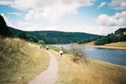 thumbnail Olympus Trip AF S-2 (lens 34mm) - 2