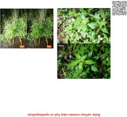 thumbnail Tấm film Polar PL phân cực giảm chói cho đèn flash và nhiều vật dụng phản xạ khác - 2