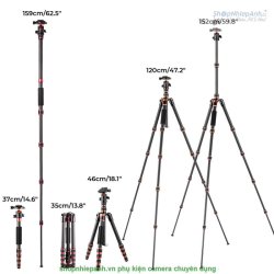 thumbnail Tripod K&F concept carbon fiber Air Pro Series A225C0+BH-25L (KF09.077V3) - 8