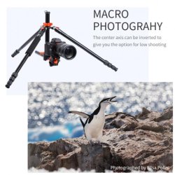 thumbnail Tripod K&F concept K234A7+BH-28L (KF09.087V6) - 7