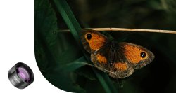 thumbnail Ulanzi CL-003 lens macro 75mm 10X for smartphone (thế hệ thứ 3 mới nhất) - 7